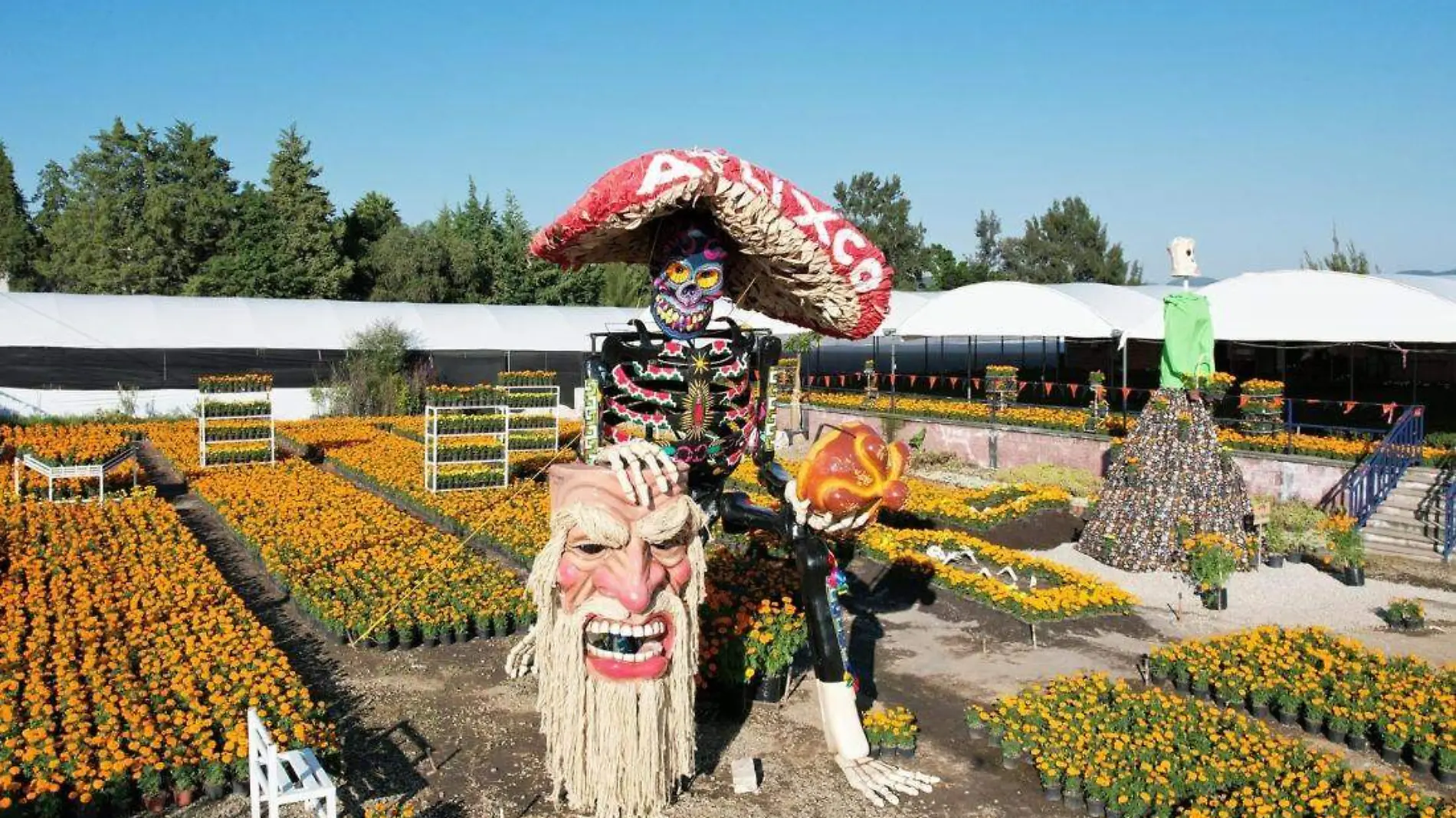 Valle de las Catrinas en Atlixco